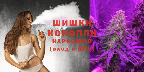 амф Козловка