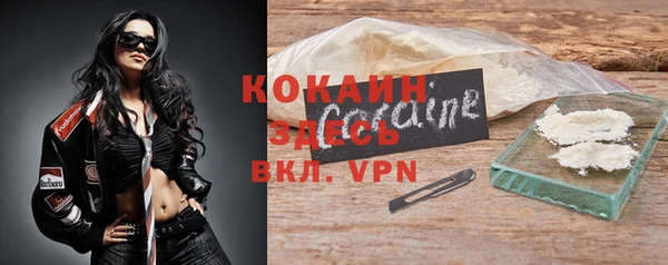 амф Козловка