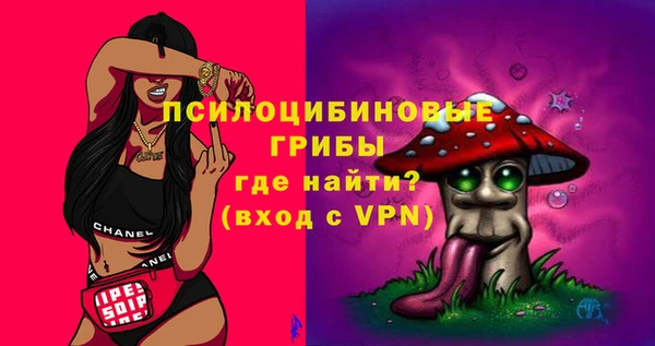 амф Козловка