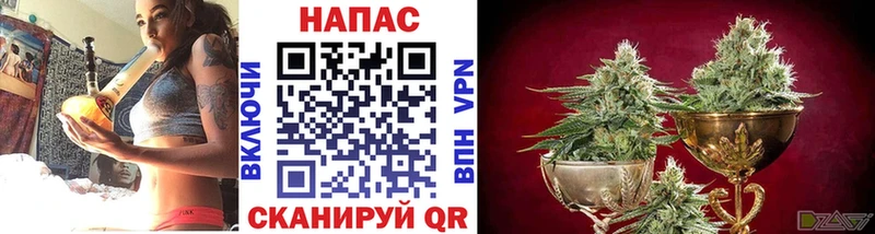 МАРИХУАНА Ganja  Купить  Орехово-Зуево 